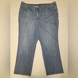 Women’s Plus size Lane Bryant Venezia Blue Jeans 26 Average, Straight Leg